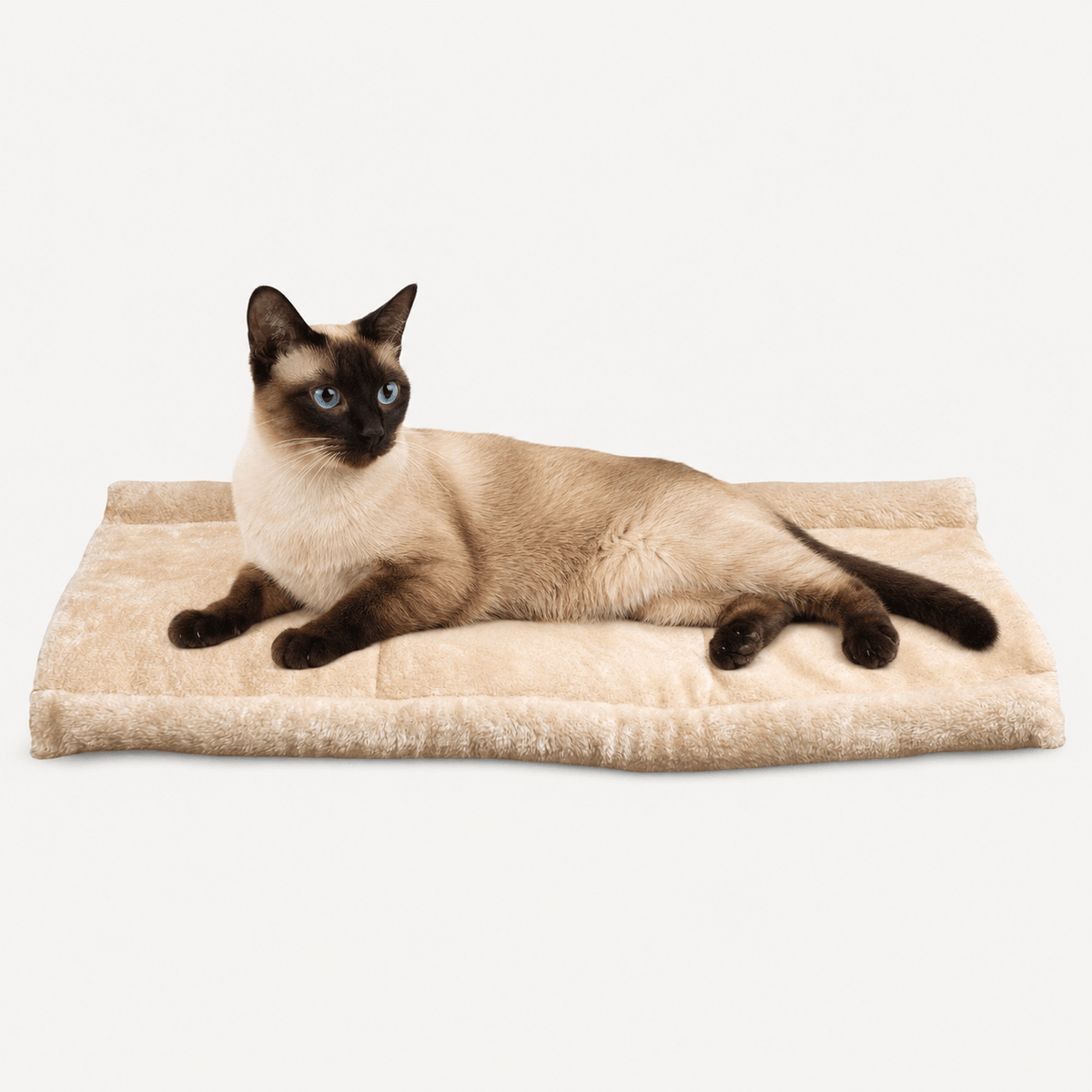 2-In-1 Self-Warming Cat Tunnel Bed & Mat