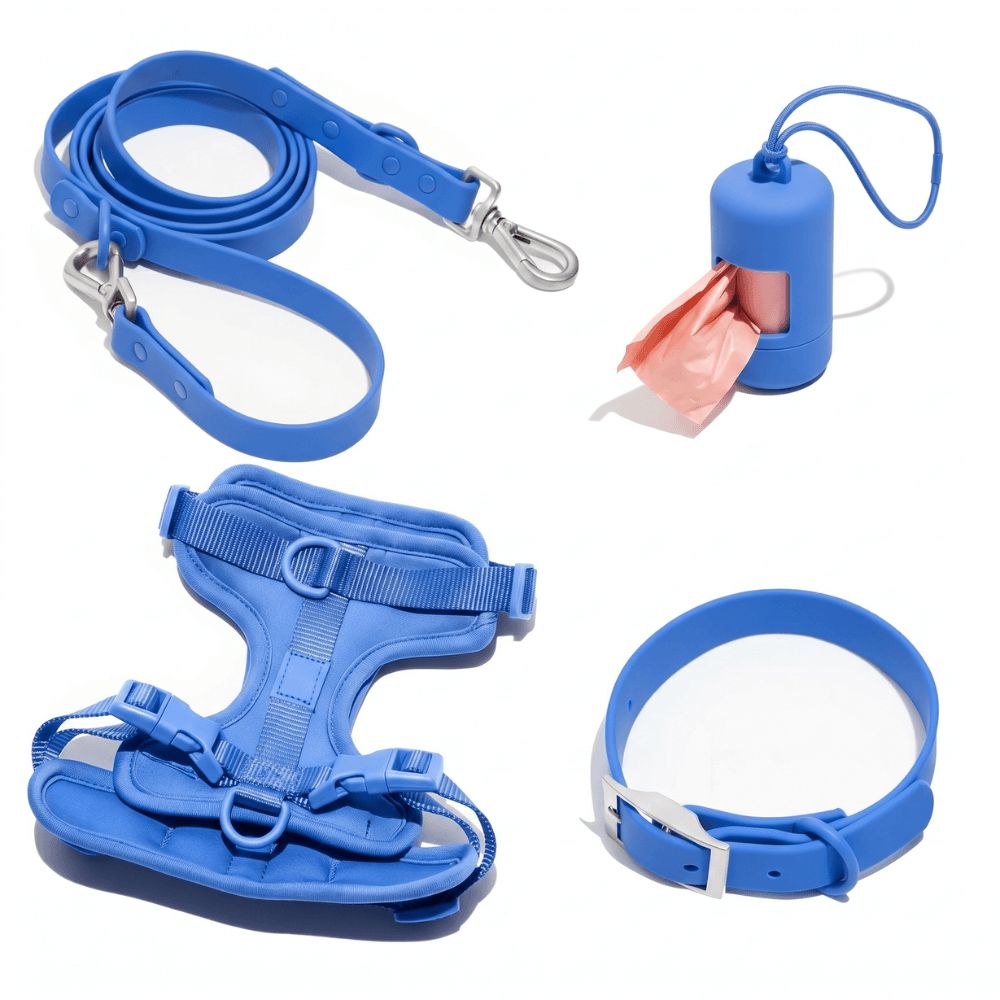 4-Piece Dog Harness & Lead Set