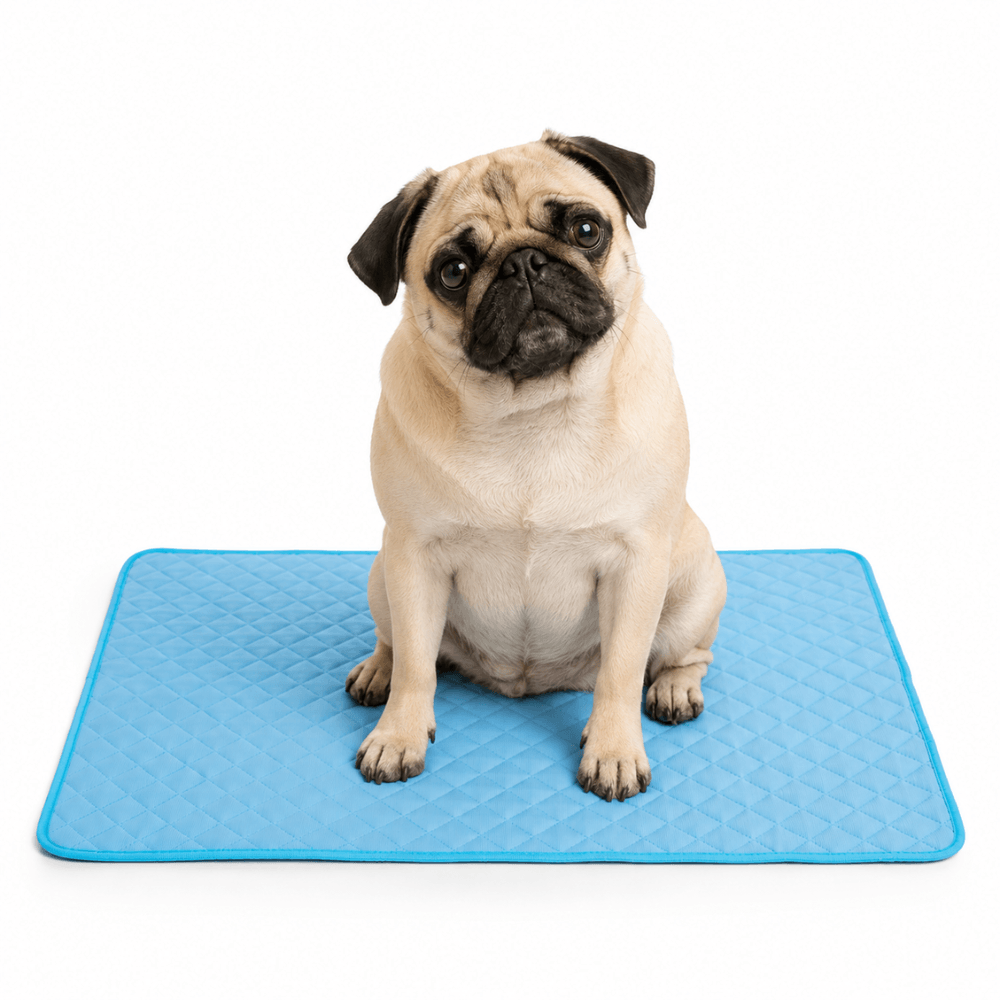 4-Layer Dog Cooling Mat
