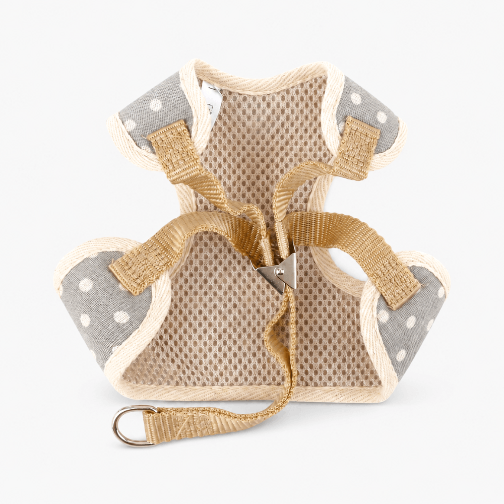 Small Bow Tie Pet Harness & Lead Set