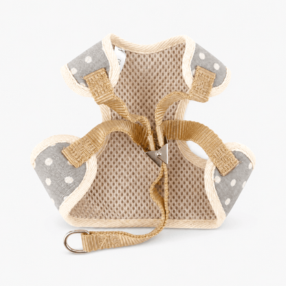 Small Bow Tie Pet Harness & Lead Set