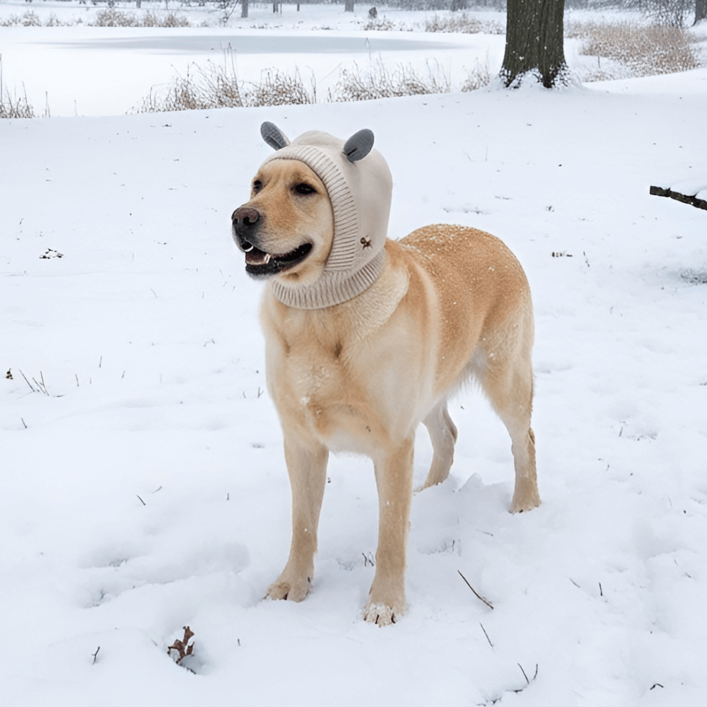 Knitted Winter Dog Ear Muffs & Cover for Noise Protection