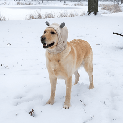 Knitted Winter Dog Ear Muffs & Cover for Noise Protection