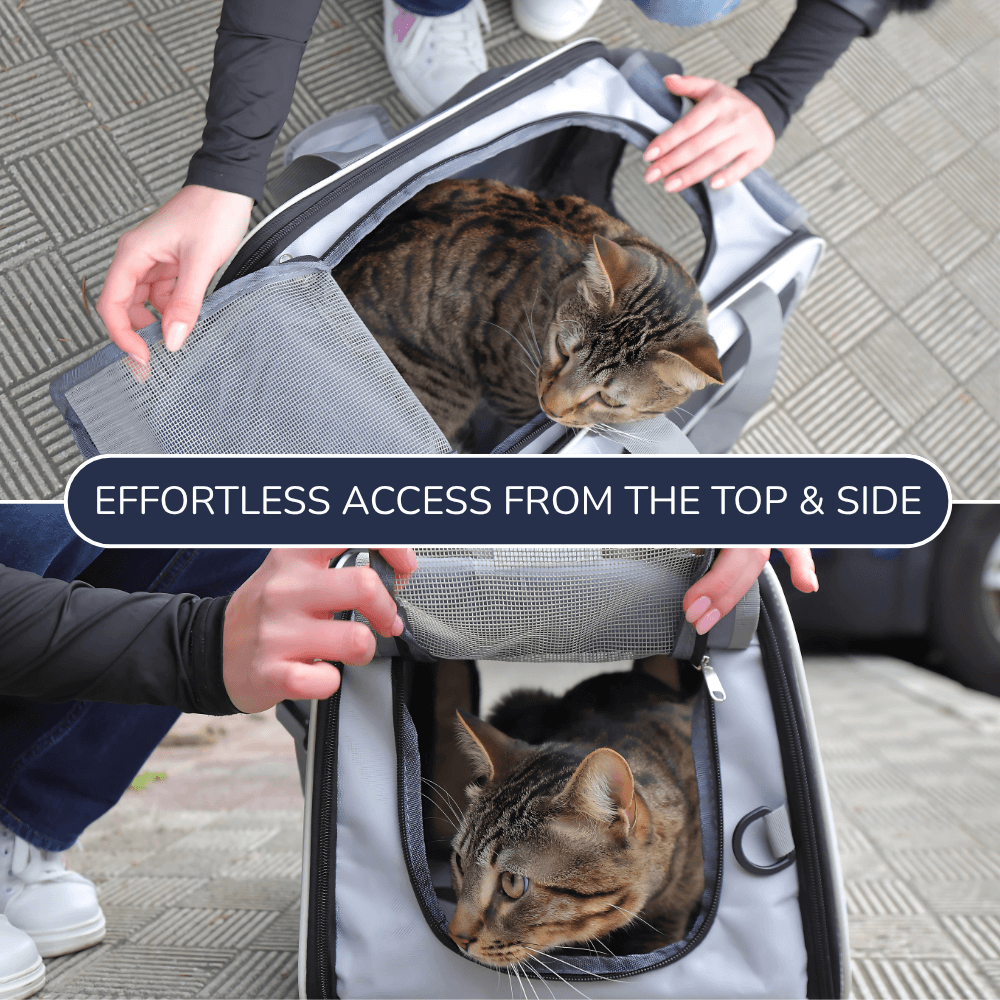 Calm Cat Travel Carrier