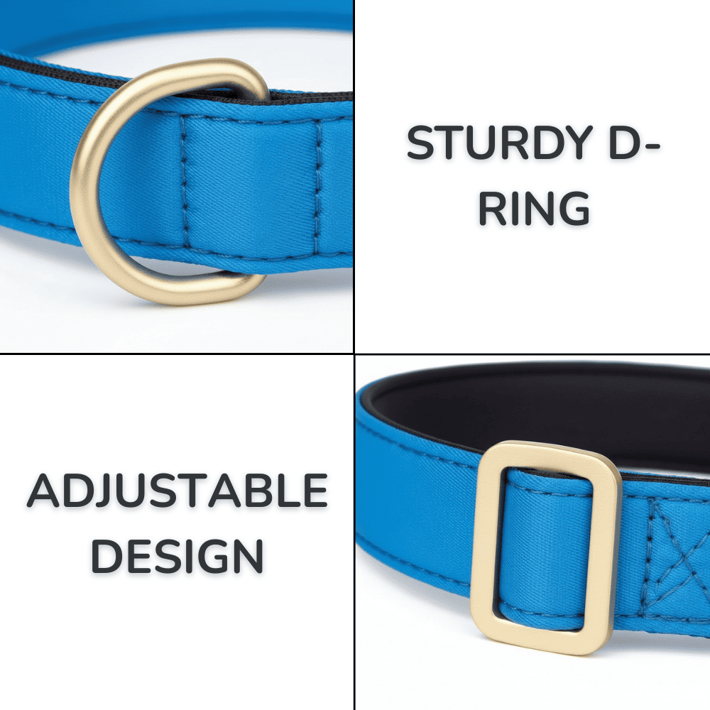 Colorful Laser-Engraved Dog Collar