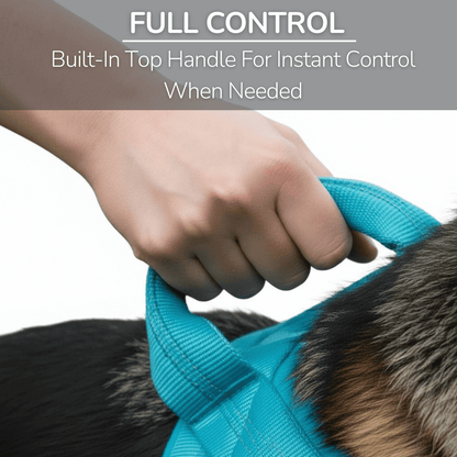 Personalized Full-Control Harness