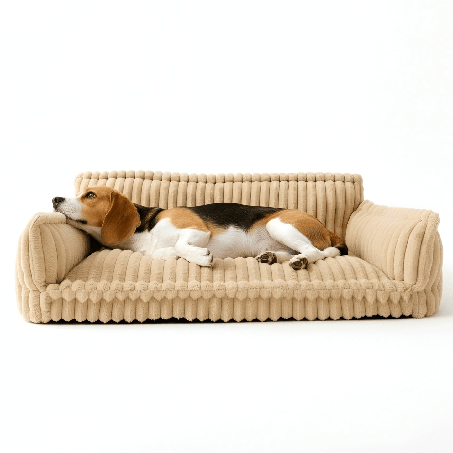 Luxurious Relaxation Sofa Bed