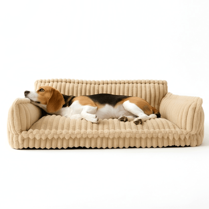Luxurious Relaxation Sofa Bed