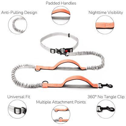 Hands-Free Waist Dog Lead