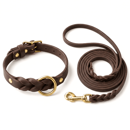 Genuine Leather Dog Collar & Lead Set