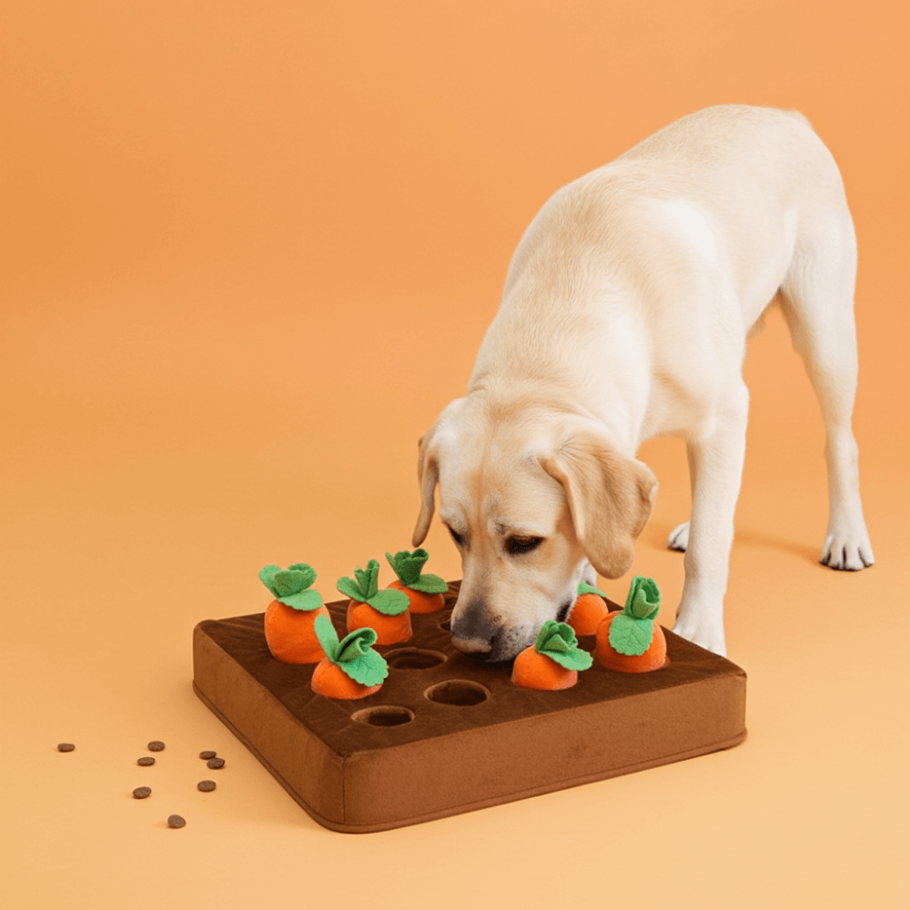 Boredom-Buster Snuffle Mat Carrots Edition