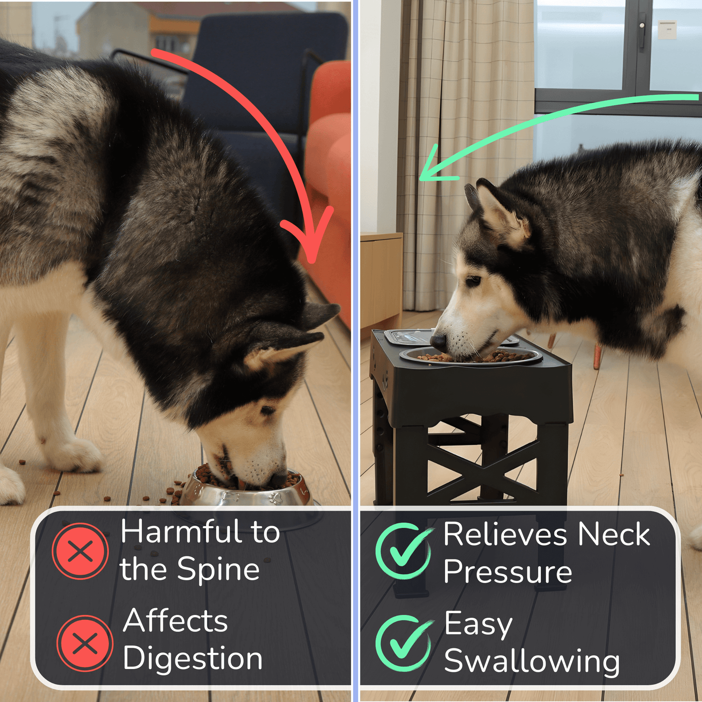 3-in-1 Adjustable Dog Bowl Stand