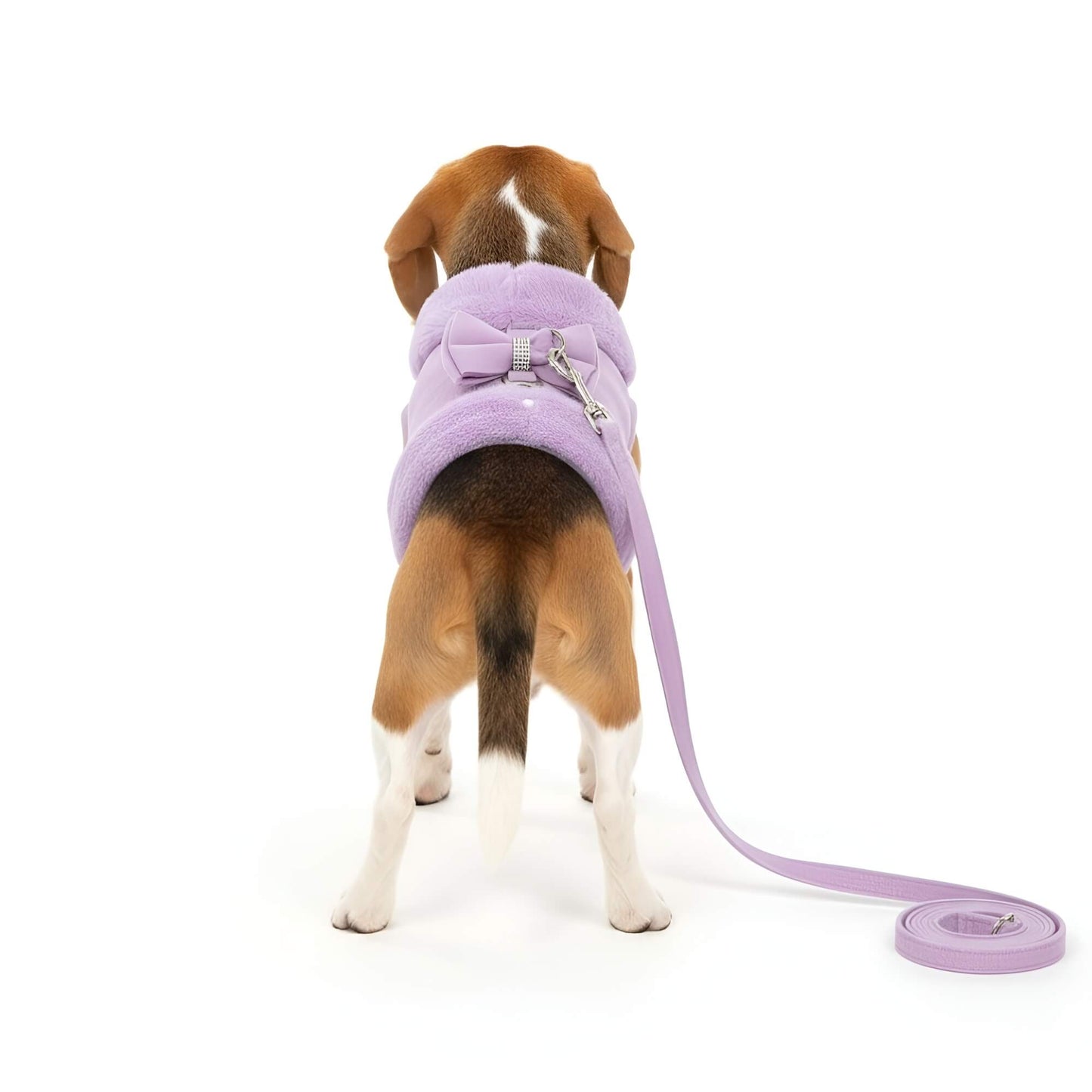 Bow Vest Harness and Leash Set