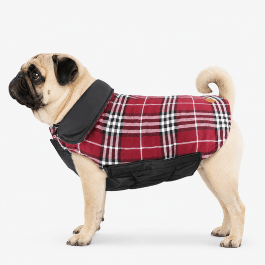 Plaid Reversible Cozy Dog Coat with Lead Opening