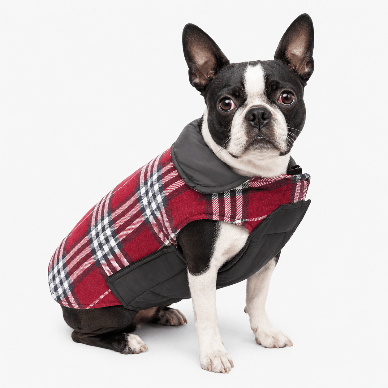 Plaid Reversible Cozy Dog Coat with Lead Opening