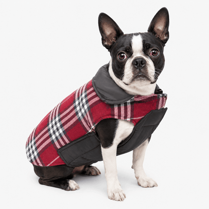 Plaid Reversible Cozy Dog Coat with Lead Opening