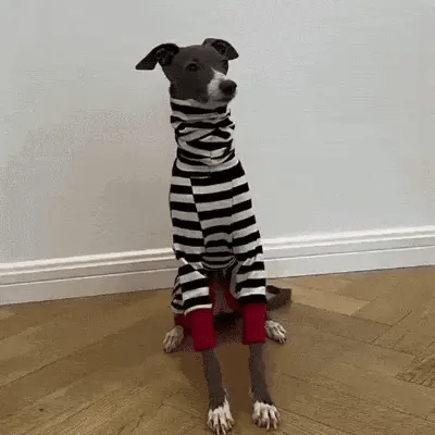 Cosy Zebra Stripes Dog Onesie Pyjamas