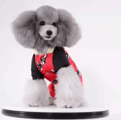 Dog Warm Fleece Jumper with Hood