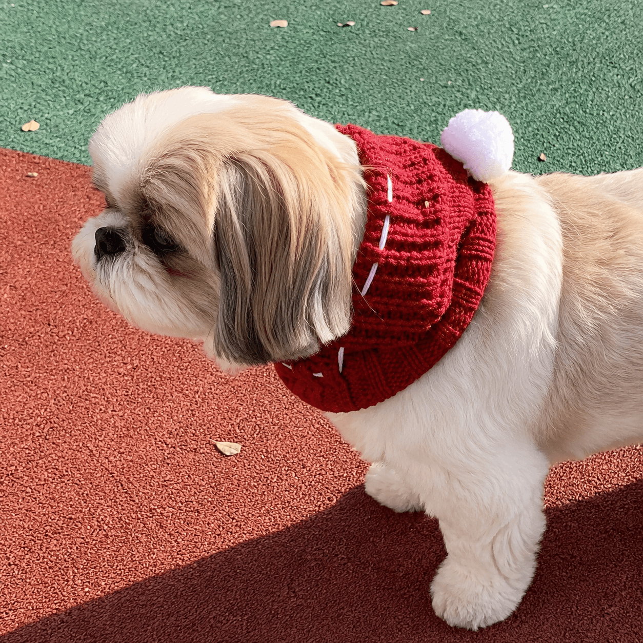 One-Size Christmas Knitted Dog Beanie for Winter