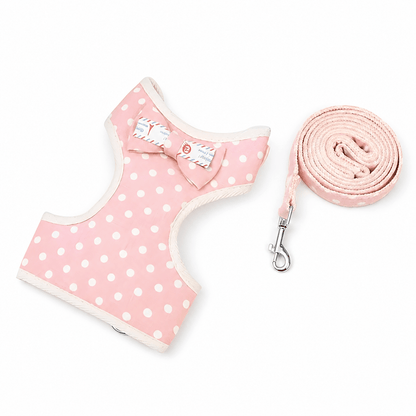 Little Explorer Cat Harness & Lead