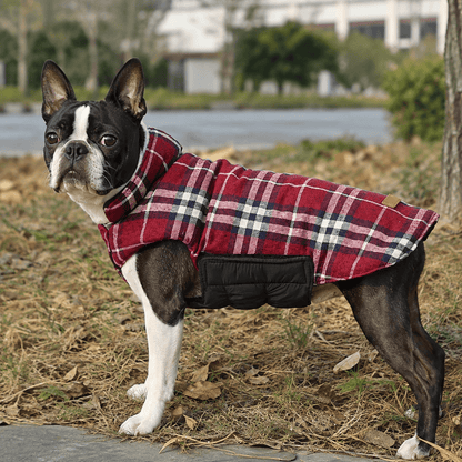 Plaid Reversible Cozy Dog Coat with Lead Opening