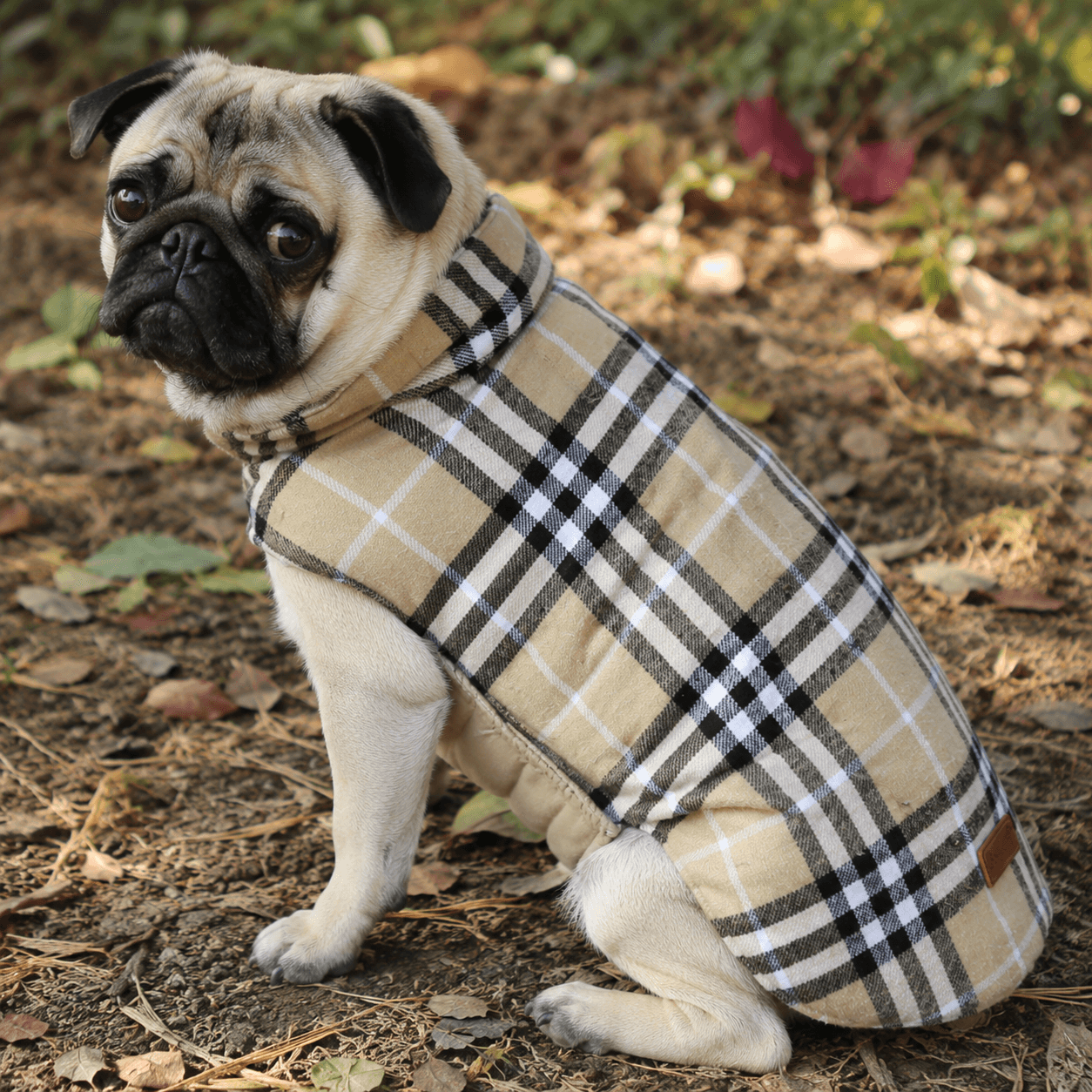 Plaid Reversible Cozy Dog Coat with Lead Opening