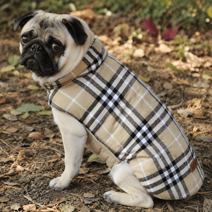 Plaid Reversible Cozy Dog Coat with Lead Opening