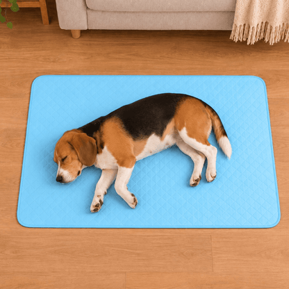 4-Layer Dog Cooling Mat