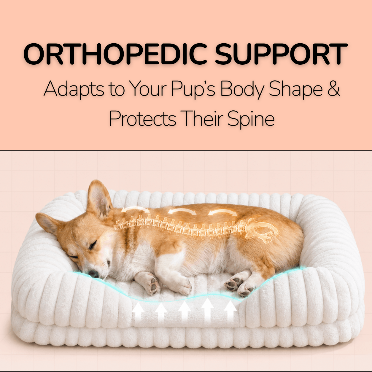 Joint-Relief Bolstered Orthopedic Dog Bed