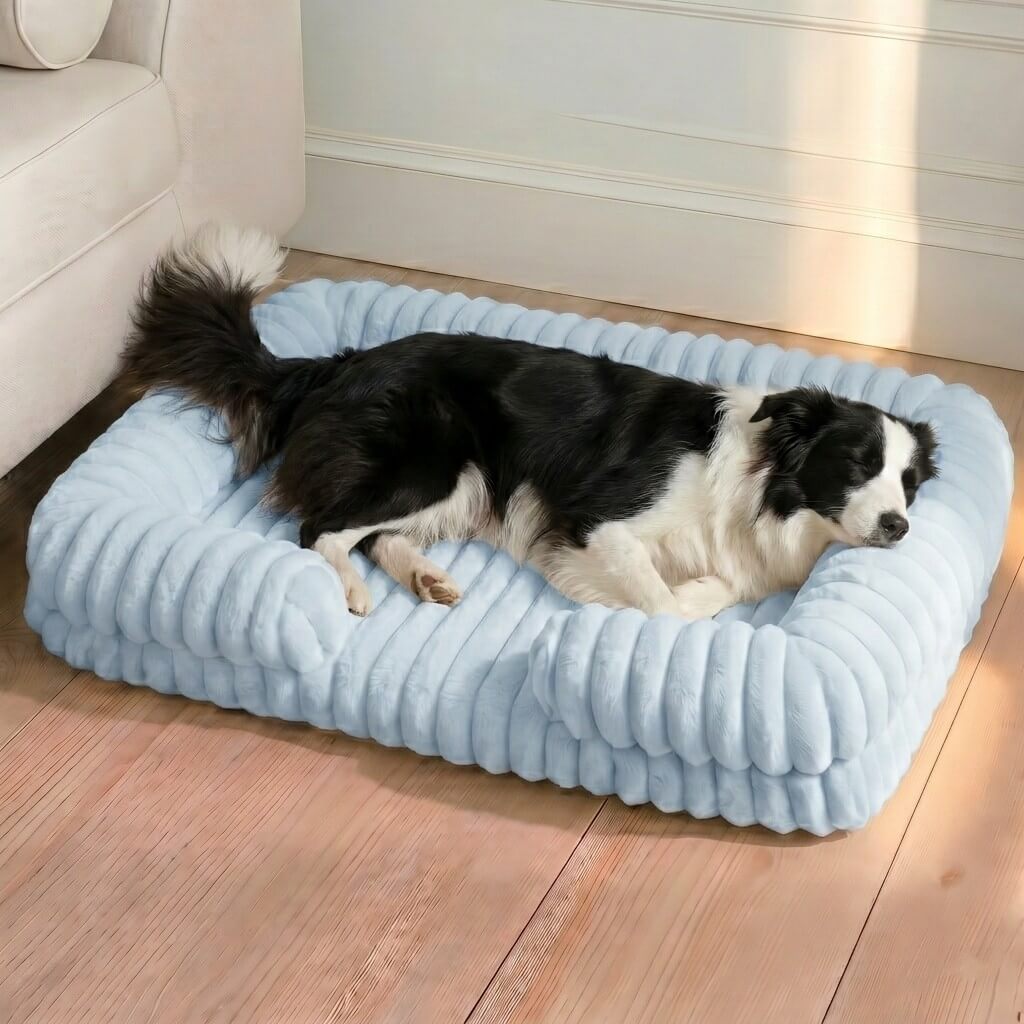 Joint-Relief Bolstered Orthopedic Dog Bed