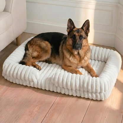 Joint-Relief Bolstered Orthopedic Dog Bed