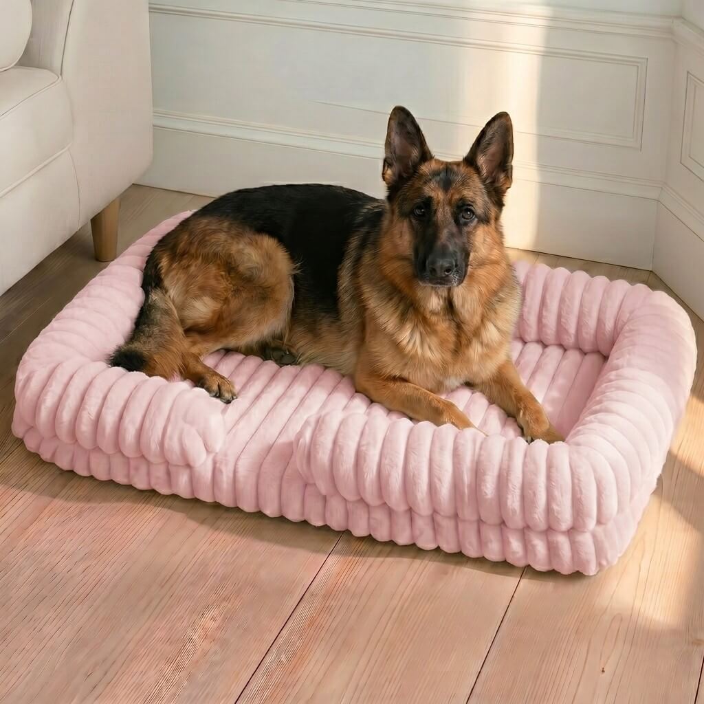 Joint-Relief Bolstered Orthopedic Dog Bed