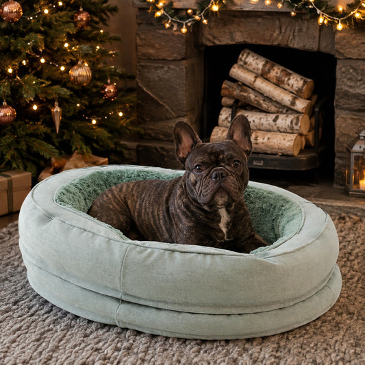 Dog in a green bolster bed