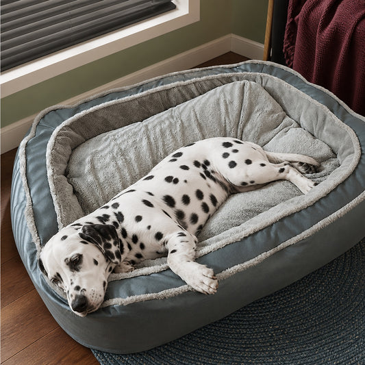 Dalmatian on a plush dog bed