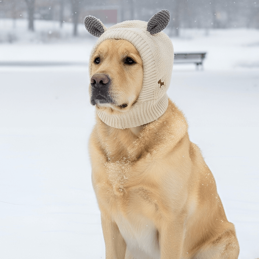 Knitted Winter Dog Ear Muffs & Cover for Noise Protection