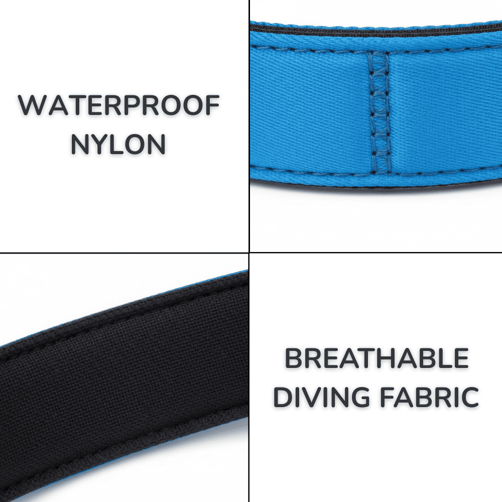 Colorful Laser-Engraved Dog Collar