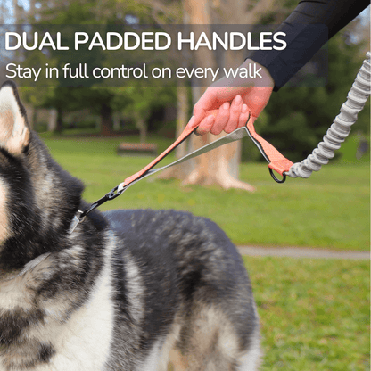 Hands-Free Waist Dog Lead