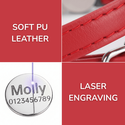 Laser-Engraved Classic Cat Collar
