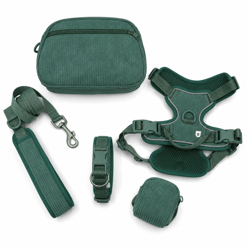 5-Piece Corduroy Dog Harness & Lead Set