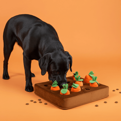 Boredom-Buster Snuffle Mat Carrots Edition