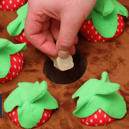 Boredom-Buster Snuffle Mat Strawberries Edition