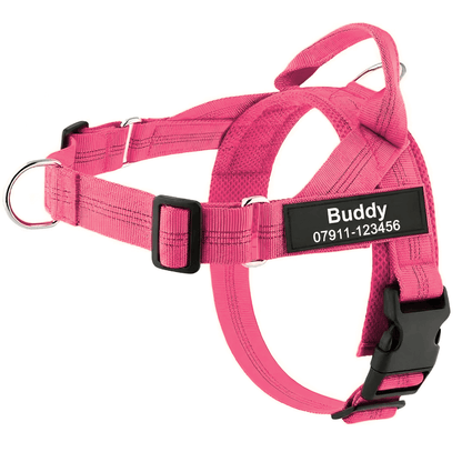 Personalized Full-Control Harness