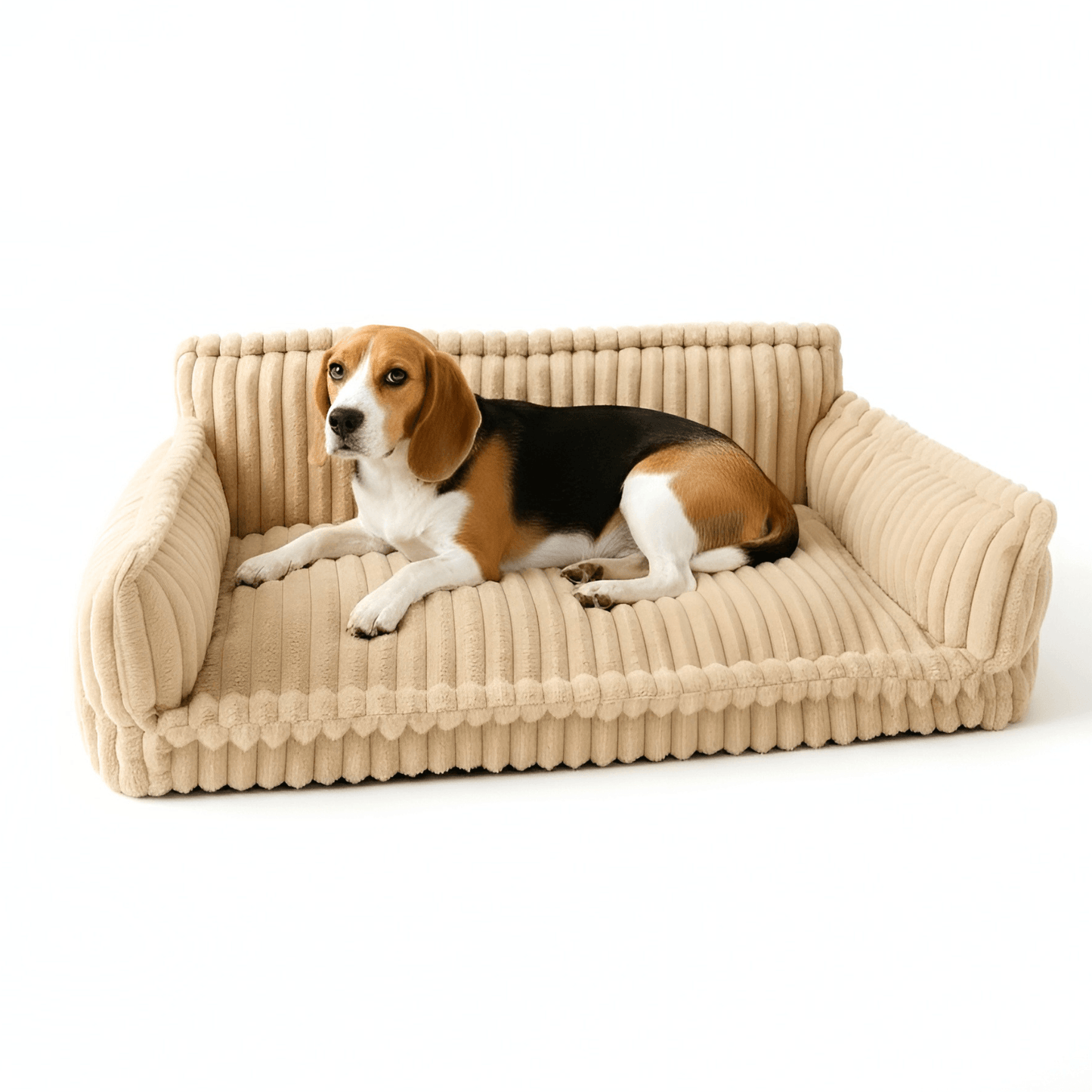 Luxurious Relaxation Sofa Bed