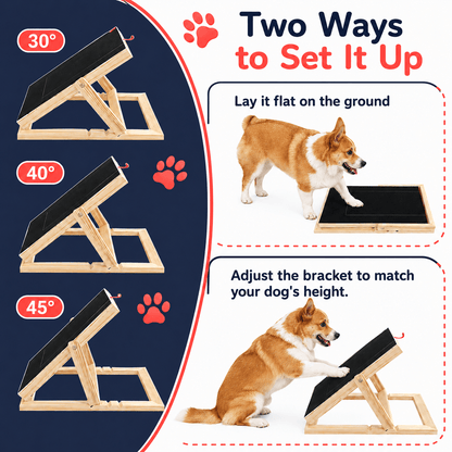 Dog Nail Scratch Board & Pad with Treat Drawer for Nail Trimming