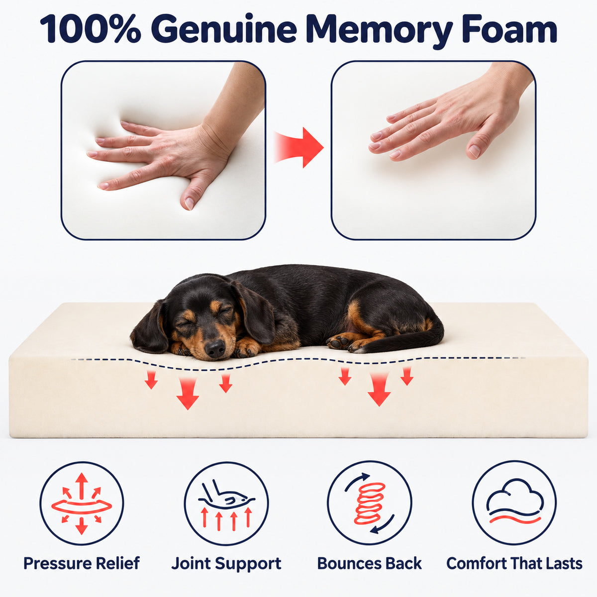 Luxurious Orthopaedic Memory Foam Dog Bed with Pillow and Bolsters