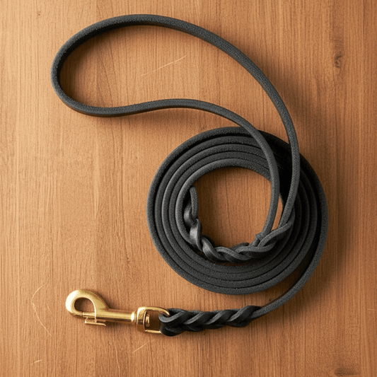 Classic Braided Leather Dog Lead