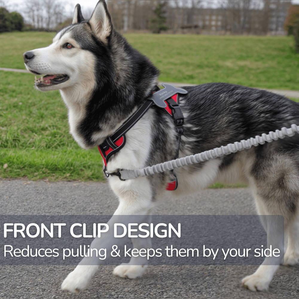 Custom Name No-Pull Dog Harness