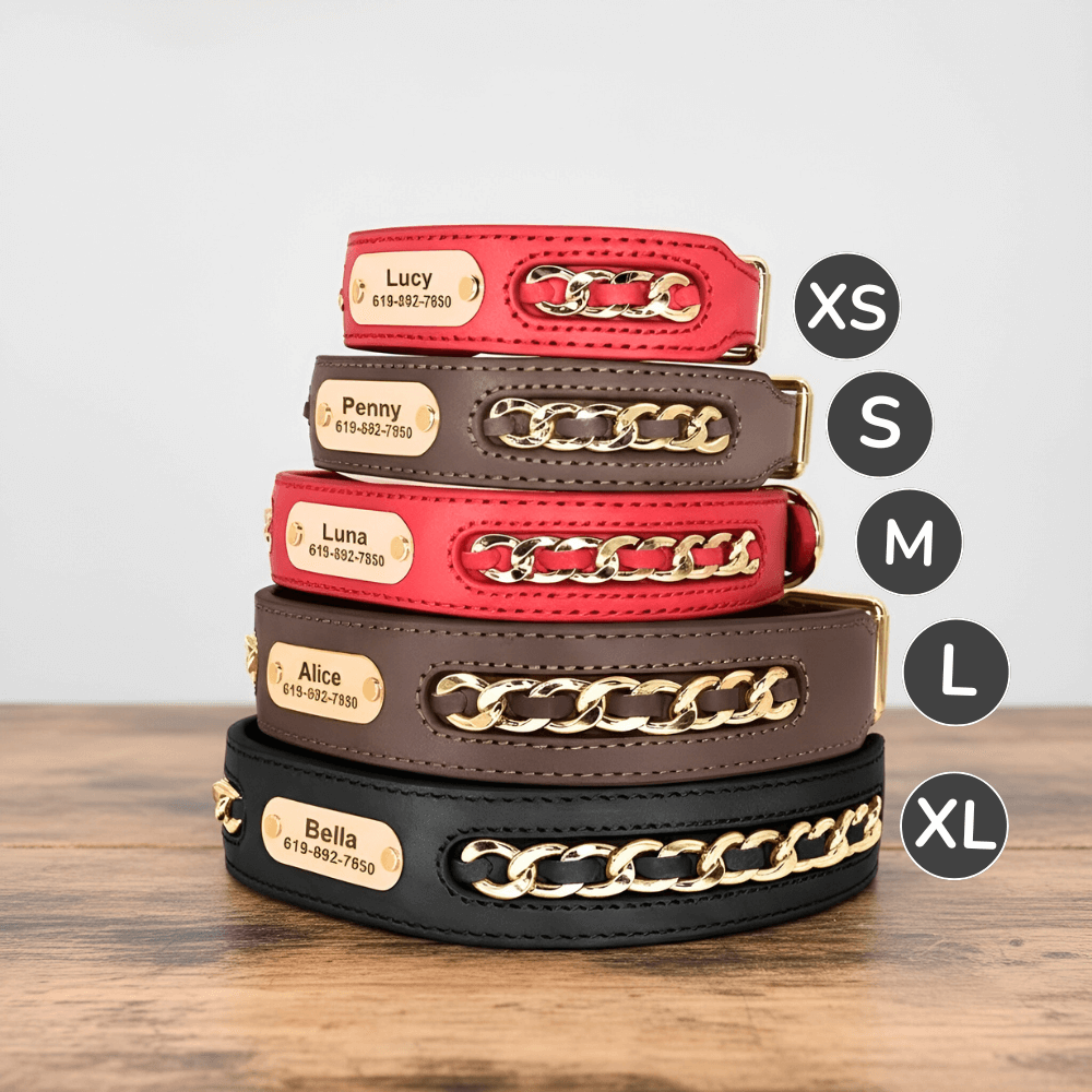 Premium Leather Custom Nameplate Collar