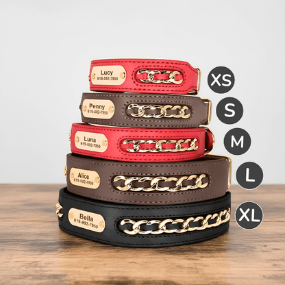 Premium Leather Custom Nameplate Collar