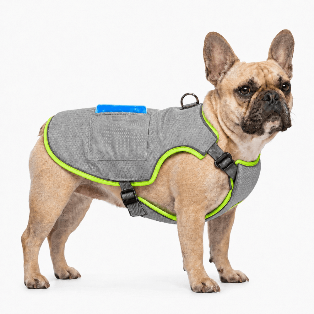 Dog Cooling Vest With Freezable Gel Packs